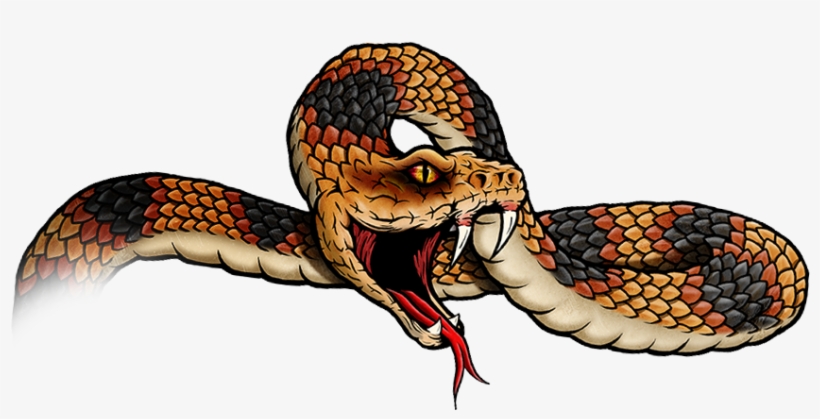 Graphic Library Download Blackwater Drift Branding - Australian Brown Snakes, transparent png download
