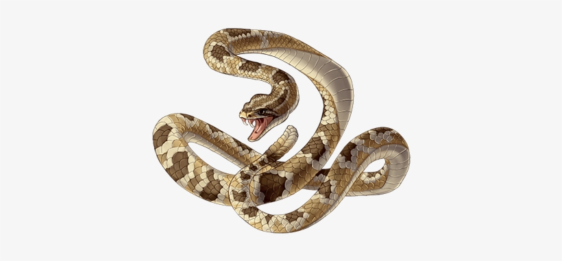 Item Rattlesnake - Serpent, transparent png download