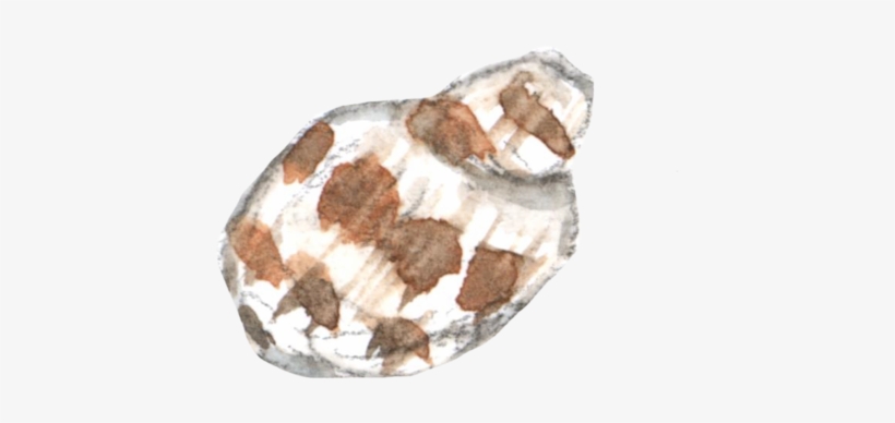 Beach15 - Portable Network Graphics, transparent png download