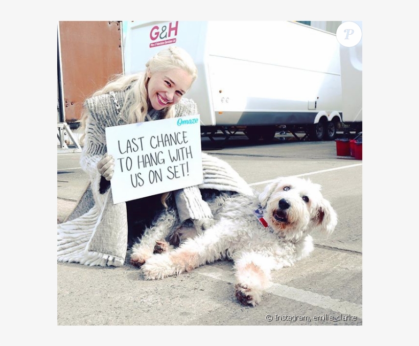 Emilia Clarke, Star De La Série &quot - Emilia Clarke With Dogs, transparent png download