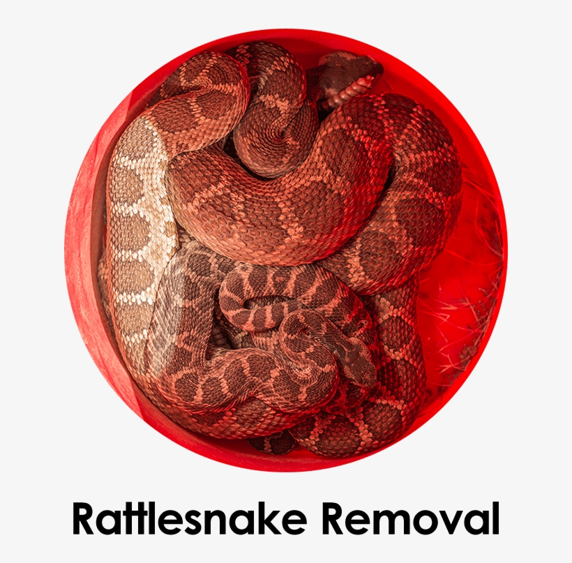 If - Service, transparent png download