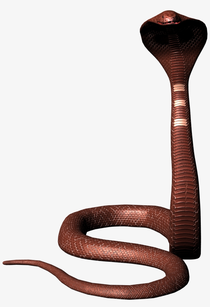 Snake Transparent Png Sticker - Snake Png, transparent png download