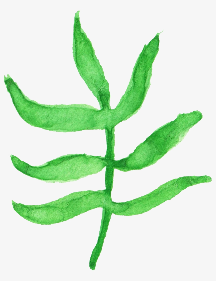 Free Download - Drawing, transparent png download