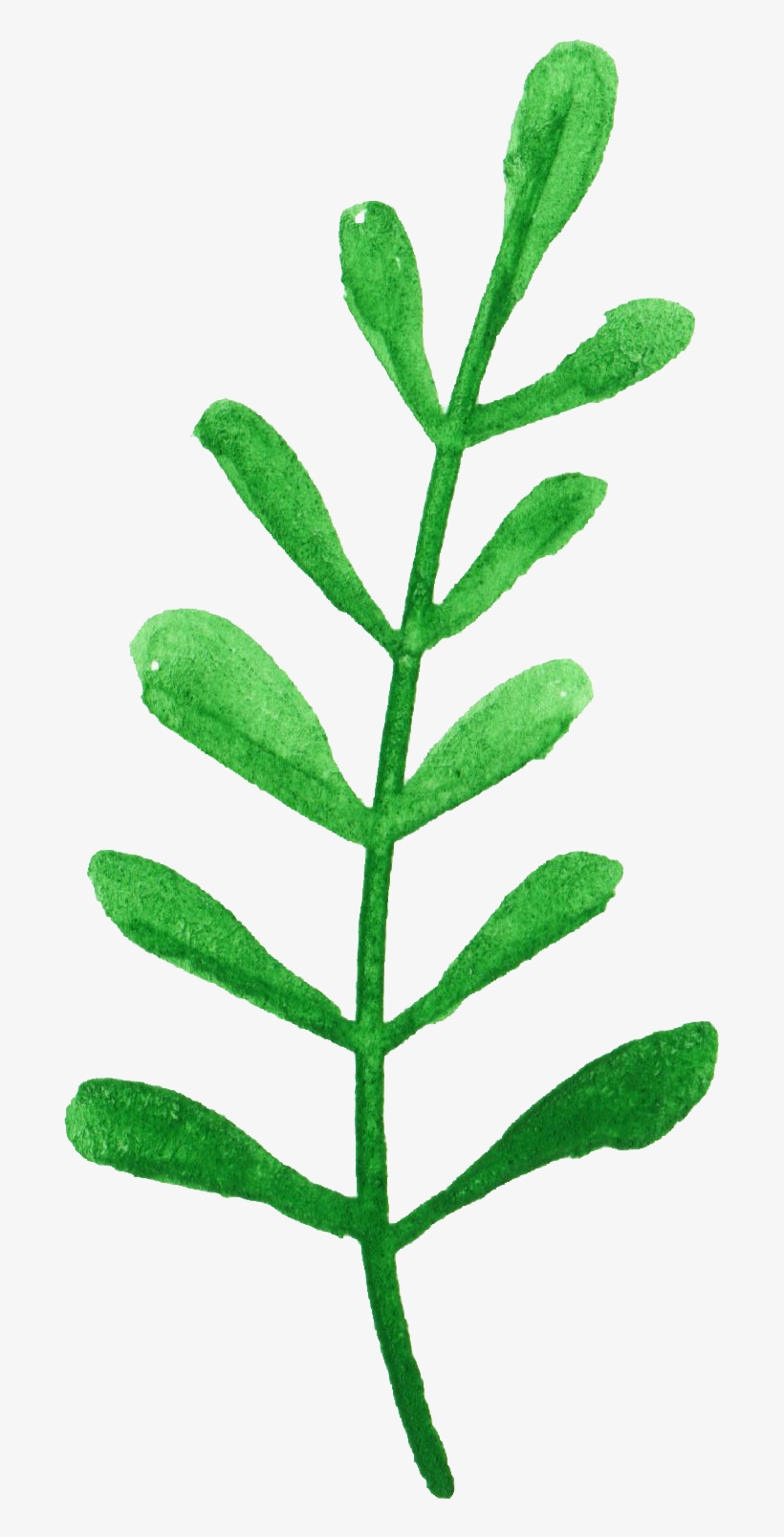 Free Download - Watercolor Painting, transparent png download