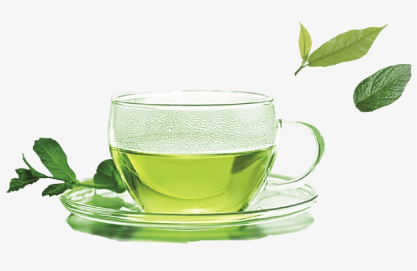 Free Png Green Tea Png Images Transparent - Youlanda Tea Infuser, Stainless Steel Tea Strainer, transparent png download