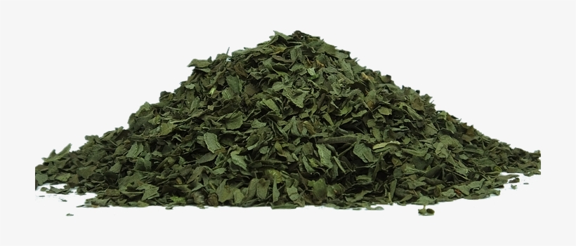 green tea tulsi dry leaves transparent png 720x720 free download on nicepng green tea tulsi dry leaves