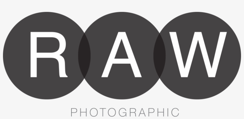 Logo, transparent png download