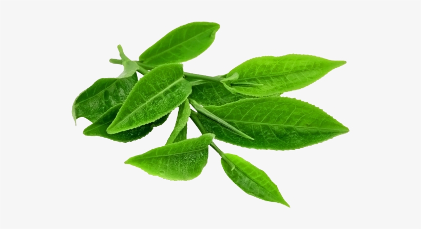 Lavera - Smoothing Body Scrub 200ml/6.6oz, transparent png download