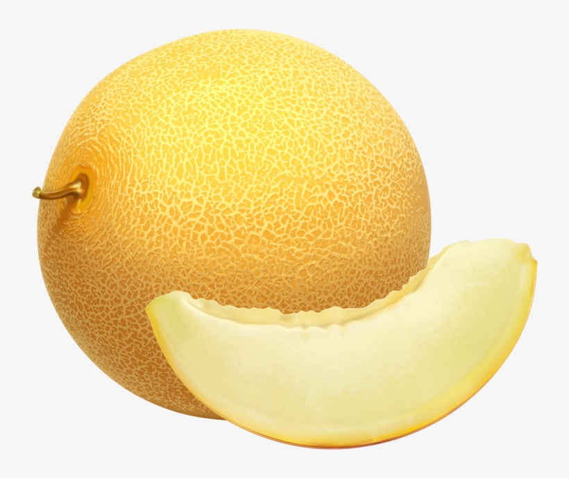 Cantaloupe Png Clipart - Cantaloupe Png, transparent png download