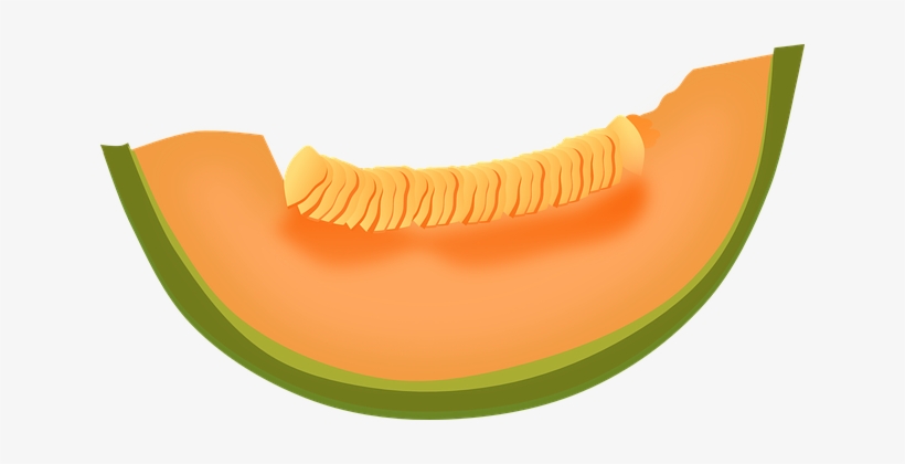 Cantaloupe Melon Fruit Food Fresh Healthy - Cantaloupe With Transparent Background, transparent png download