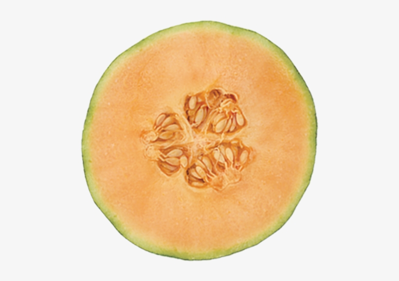 America's Favorite Melon, Bursting With Healthy Essential - Cantaloup Png, transparent png download