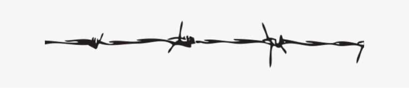 Barbwire Png Transparent Images - Barbed Wire, transparent png download