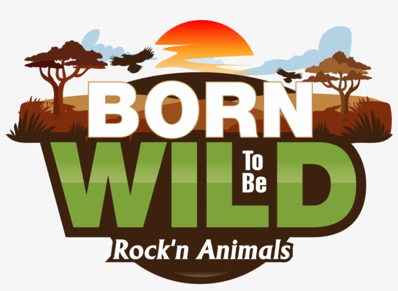 Facebook Whatsapp Envelope - Crawfordville, transparent png download