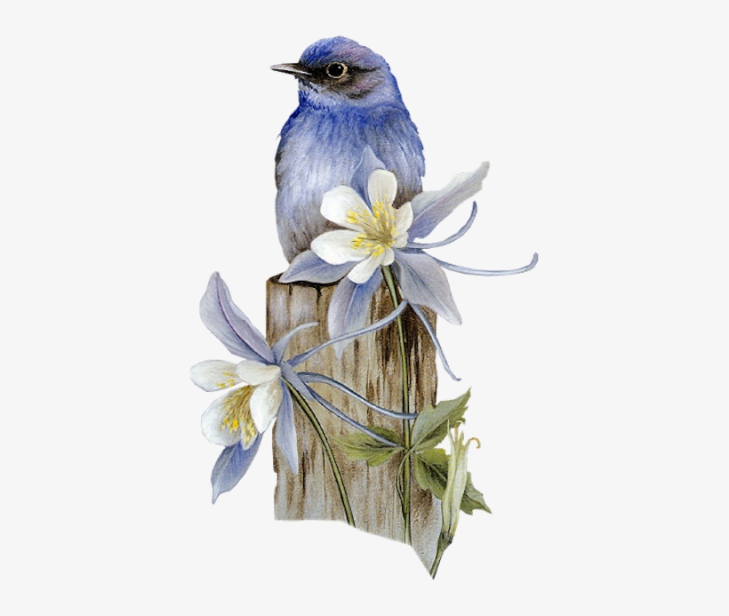 Birds Tubes - Birds Pencil Art Colour, transparent png download