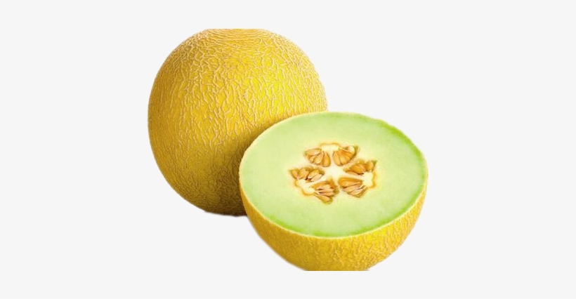 Melon Galia, transparent png download