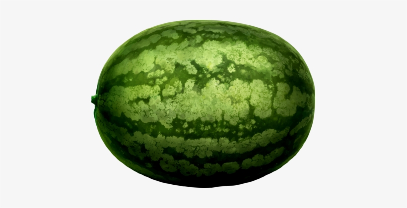 Watermelon Humour Muskmelon Food, transparent png download
