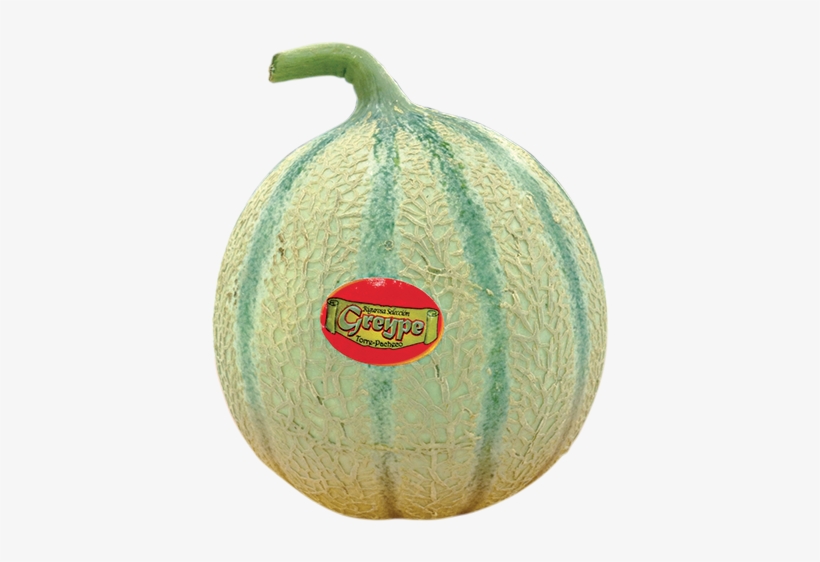 Cantaloupe - Frutas Con Rayas Verdes, transparent png download