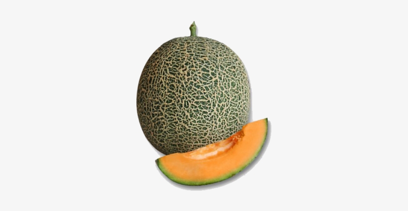 Cantaloupe, transparent png download