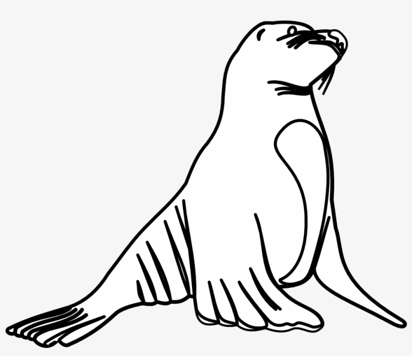Sea Lion Clip Art - Sea Lion White And Black, transparent png download