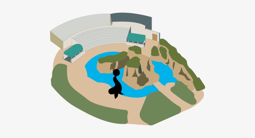 Sea Lion Cove - Buffalo Zoo Sea Lion, transparent png download