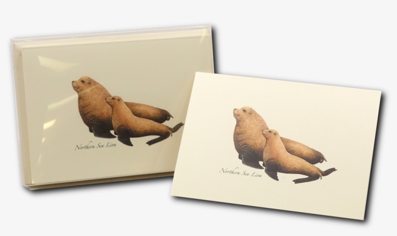 Shopping Cart -  -  - Steller Zeeleeuw, transparent png download