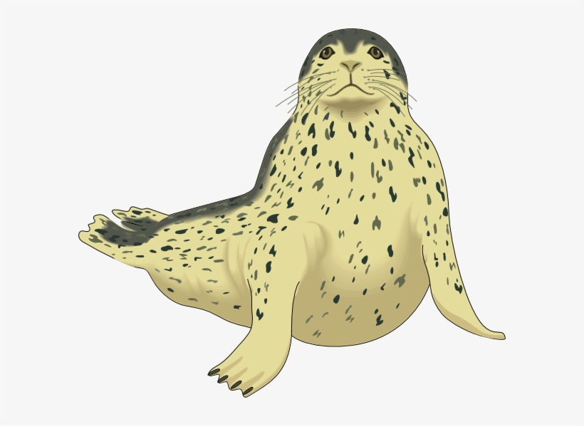 Spotted Seal Svg Clip Arts 600 X 519 Px, transparent png download