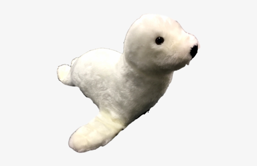 Imitation Christmas Baby Sea Lion - Christmas Day, transparent png download