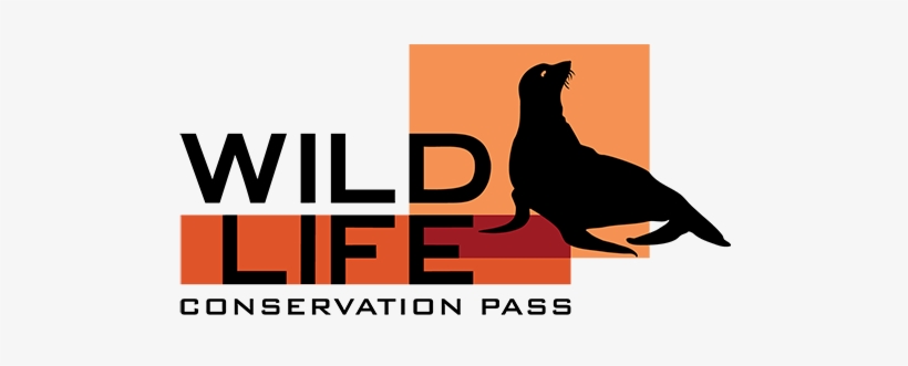 Wcp Logo Sea Lion - Wildlife Conservation, transparent png download