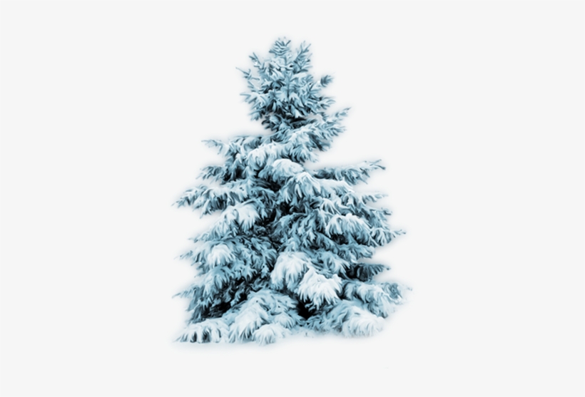 Christmas Tree Background, Christmas Tree Art, Christmas - Christmas Day, transparent png download