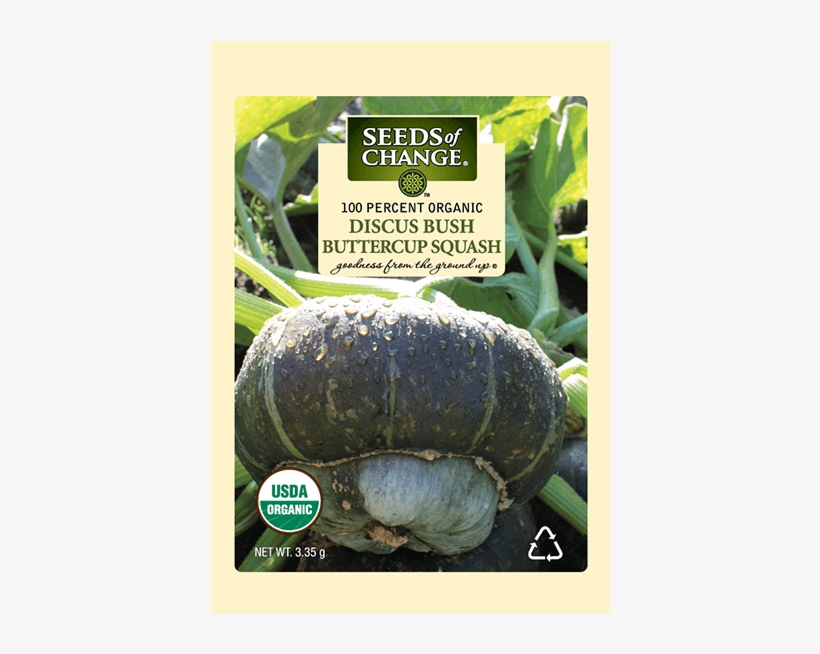 Organic Discus Bush Buttercup Winter Squash Seeds - Seeds Of Change, transparent png download