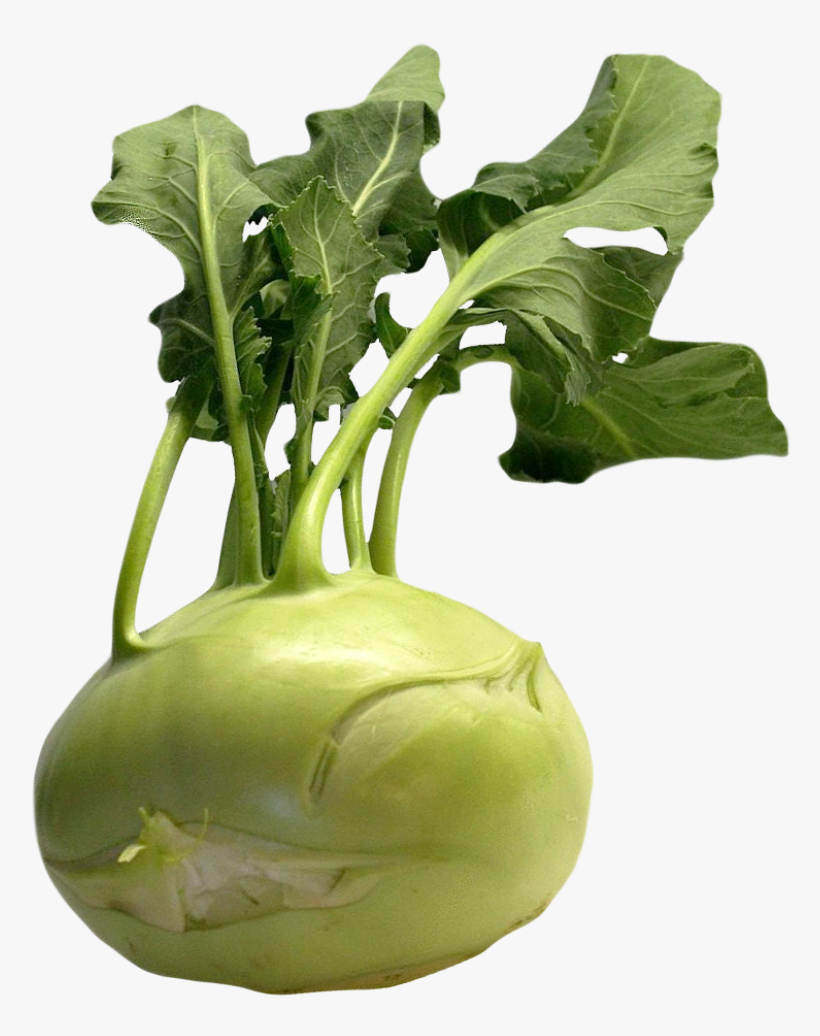 Fresh Kohlrabi With Green Leaves Png Image - Kohlrabi Png, transparent png download