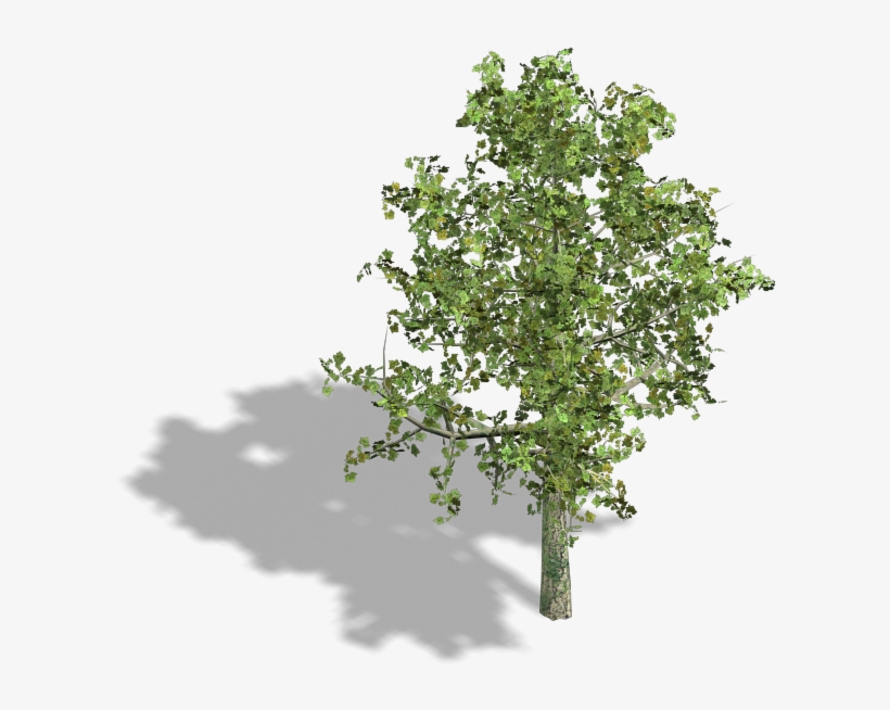 Preview - Marshall Blecher Magnus Maarbjerg, transparent png download