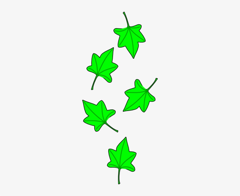 Green Grape Tree Leaves, transparent png download