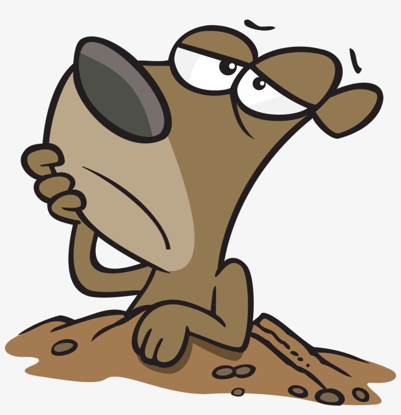 Cartoon Pictures Of Groundhogs - Cartoon Groundhog Png, transparent png download