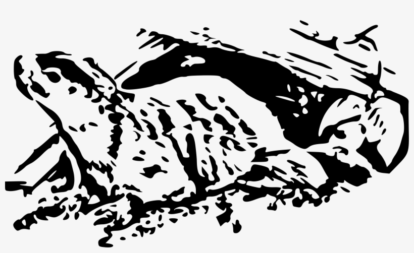 This Free Icons Png Design Of Happy Groundhog Day, transparent png download