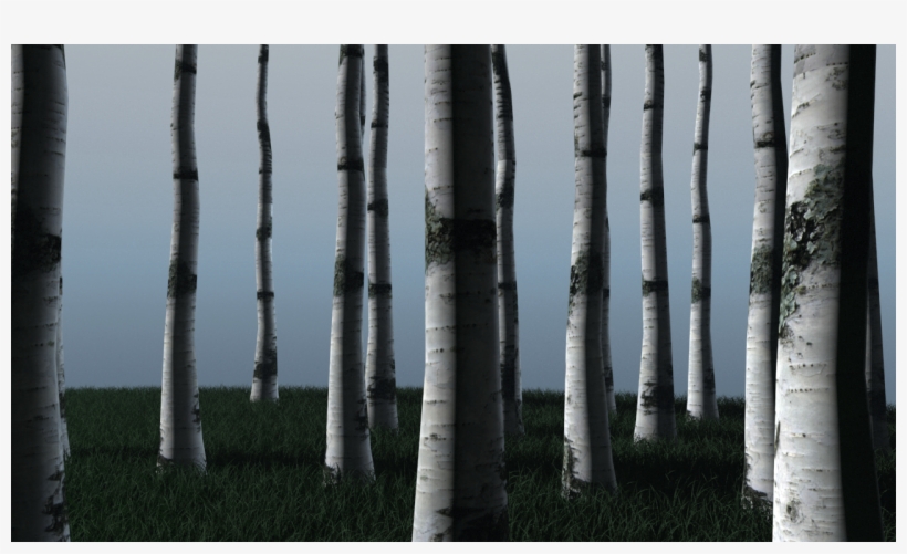Tree, transparent png download
