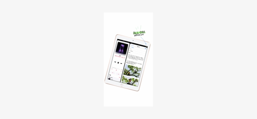 Networks In Over 180 Countries And Regions - Apple Ipad Family, transparent png download