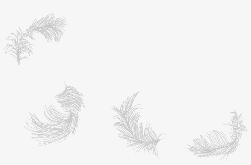 Simple Tribal Angel Wings - Drawing, transparent png download