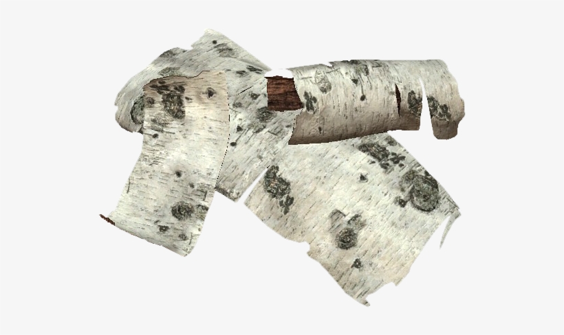 Birch Tree Bark Transparent, transparent png download