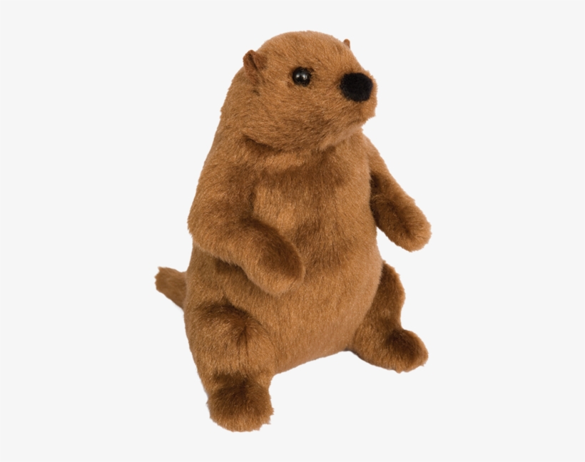 G Groundhog - Buy A Stuffed Animal Groundhog, transparent png download