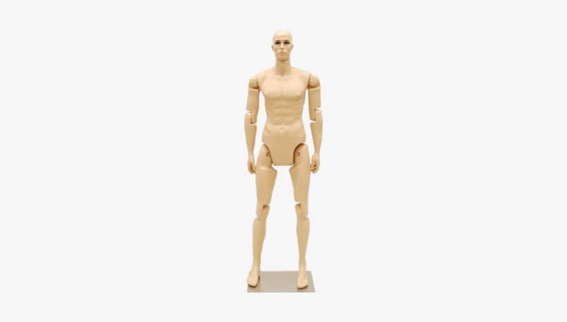 Poseable Adult Mannequin Uk, transparent png download
