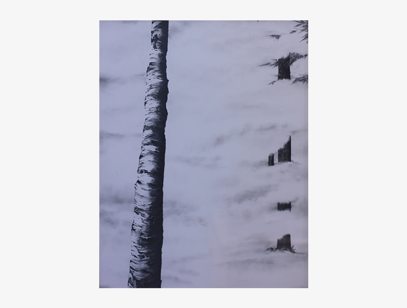 Birch Tree In The Forest - Art, transparent png download