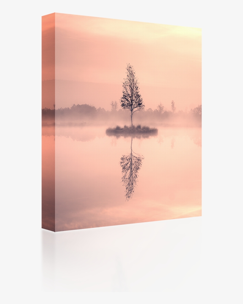 Birch Tree Island - Reflection, transparent png download