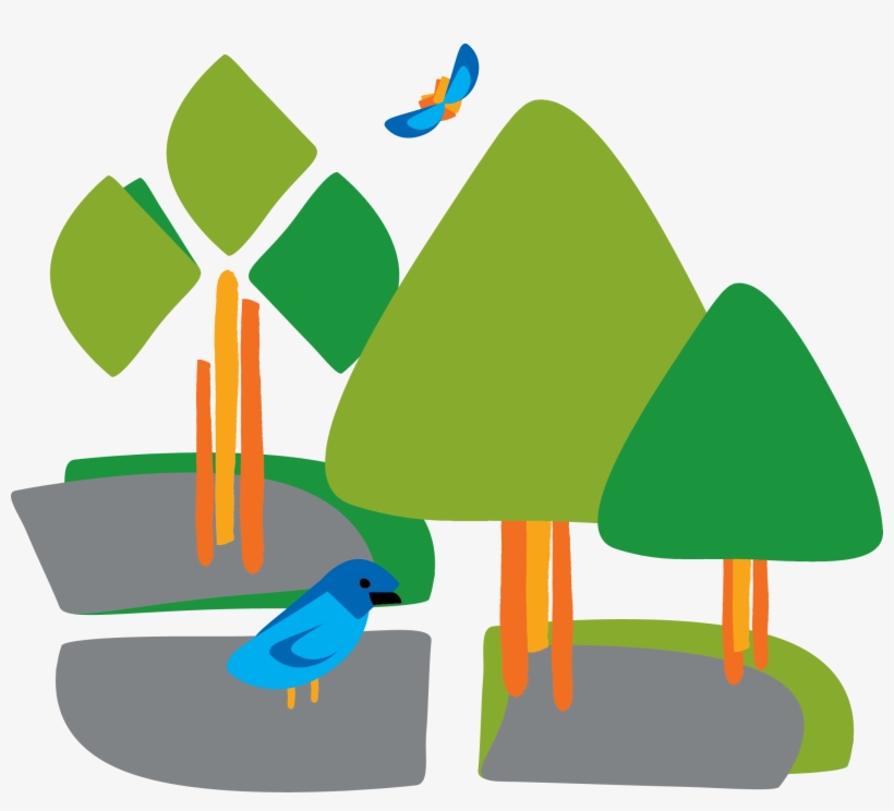 Join Naturalist Katherine Wagner Reiss As She Compares, transparent png download