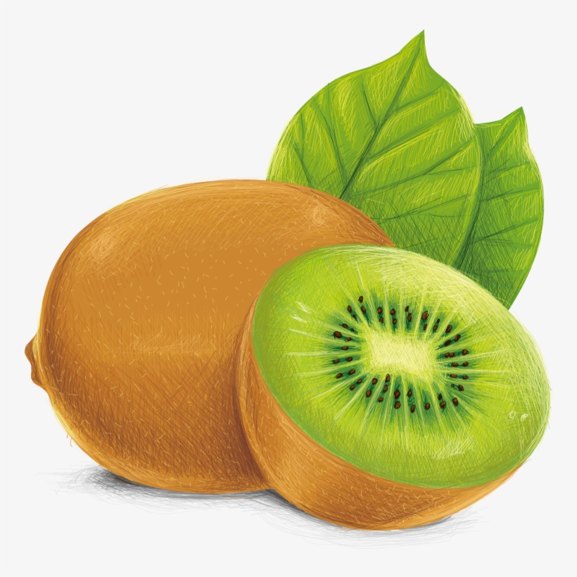 Kiwifruit, transparent png download