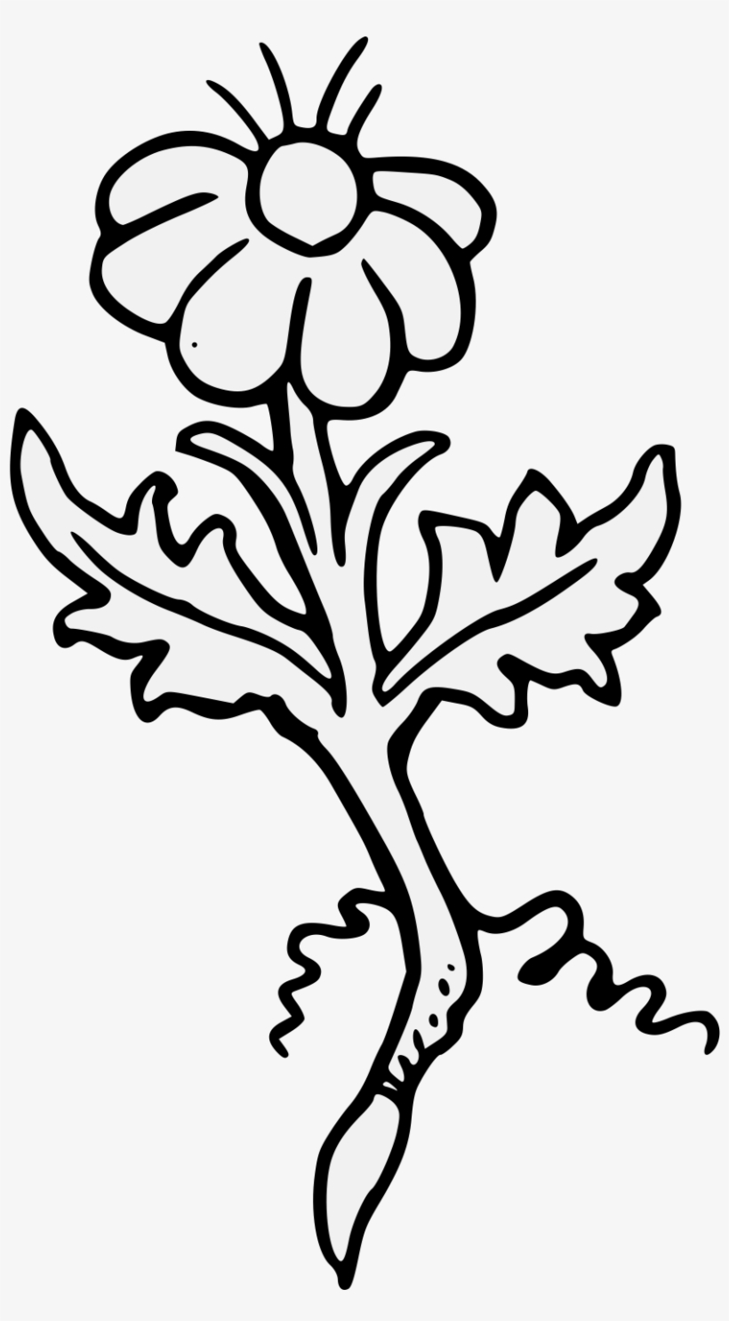 Details, Png, transparent png download
