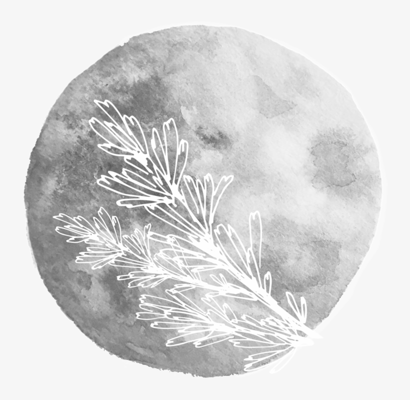 Sage Moon - Christmas Tree, transparent png download