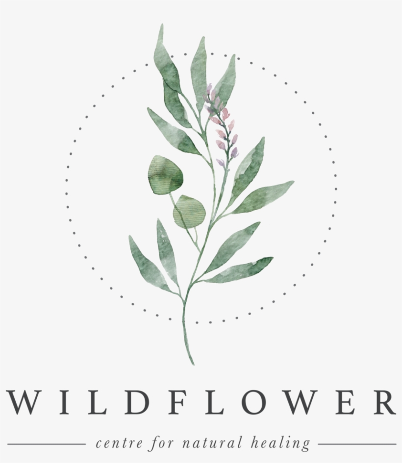 Clear Background - Illustration, transparent png download