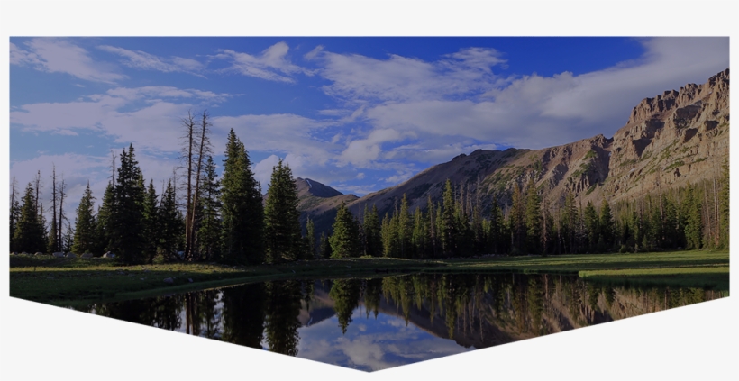 Reflection, transparent png download