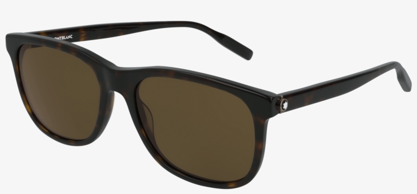 255107 Ecom Retina 01 - Oculos De Sol Cavalera Masculino, transparent png download